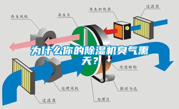 為什么你的除濕機(jī)臭氣熏天？