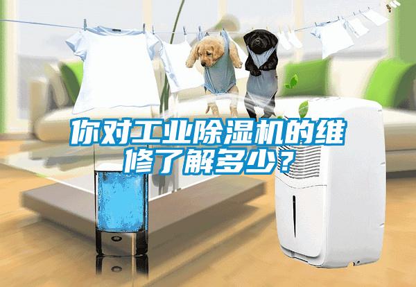 你對工業(yè)除濕機的維修了解多少？