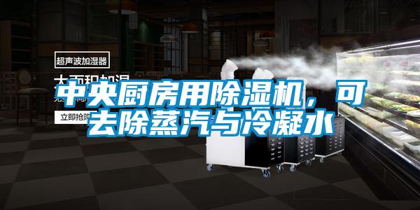 中央廚房用除濕機(jī)，可去除蒸汽與冷凝水