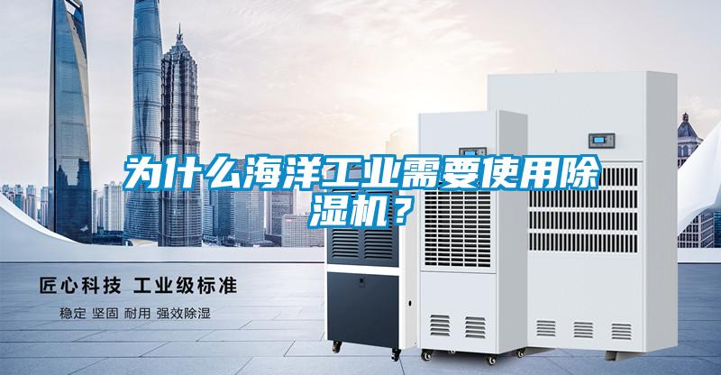 為什么海洋工業(yè)需要使用除濕機？