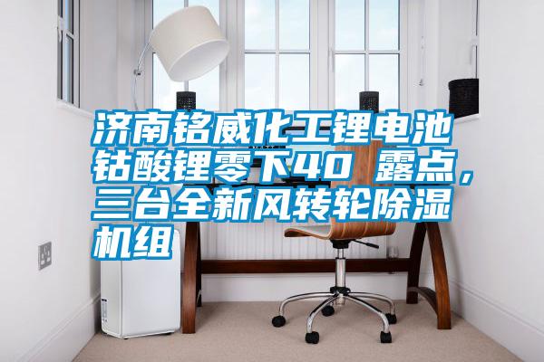 濟(jì)南銘威化工鋰電池鈷酸鋰零下40℃露點，三臺全新風(fēng)轉(zhuǎn)輪除濕機(jī)組