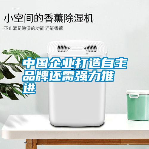 中國企業(yè)打造自主品牌還需強力推進