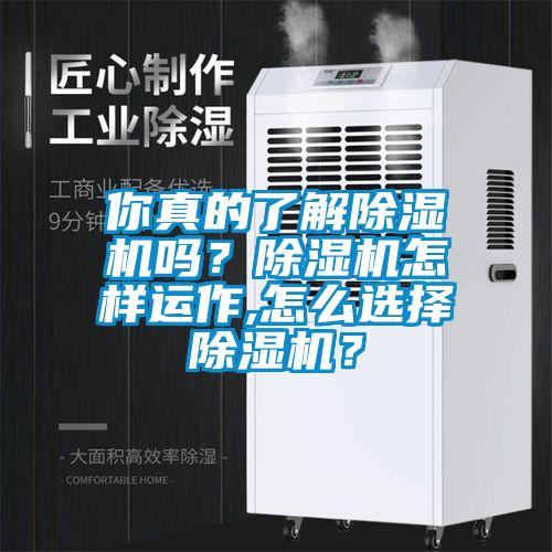 你真的了解除濕機嗎？除濕機怎樣運作,怎么選擇除濕機？