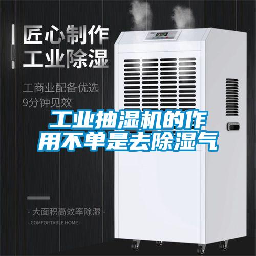 工業(yè)抽濕機的作用不單是去除濕氣