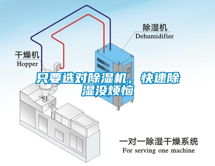 只要選對(duì)除濕機(jī)，快速除濕沒煩惱