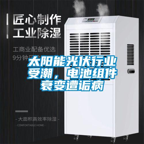 太陽(yáng)能光伏行業(yè)受潮，電池組件衰變?cè)庠嵅?/></p>
<p style=