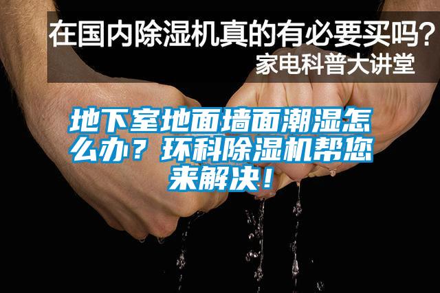 地下室地面墻面潮濕怎么辦？環(huán)科除濕機幫您來解決！