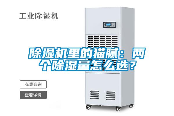 除濕機(jī)里的貓膩：兩個(gè)除濕量怎么選？