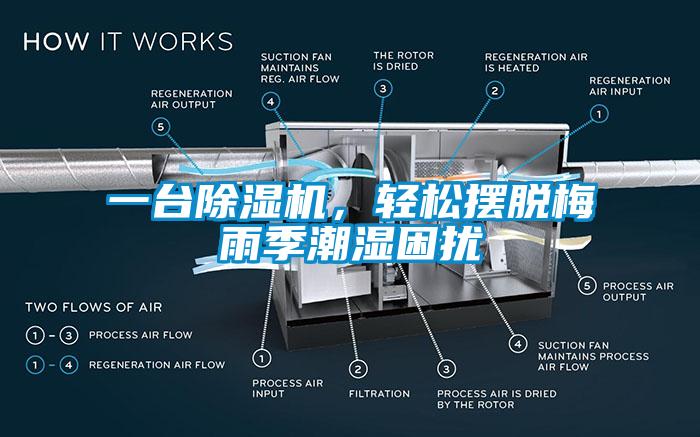 一臺除濕機，輕松擺脫梅雨季潮濕困擾