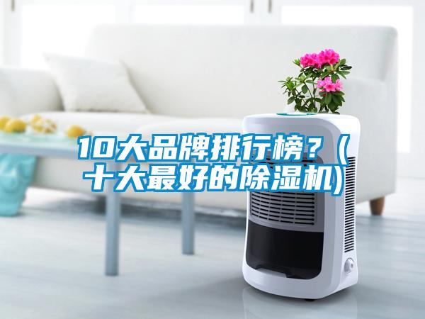 10大品牌排行榜？(十大最好的除濕機(jī))