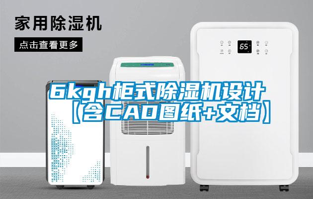 6kgh柜式除濕機設計【含CAD圖紙+文檔】