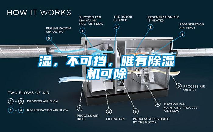 濕，不可擋，唯有除濕機(jī)可除