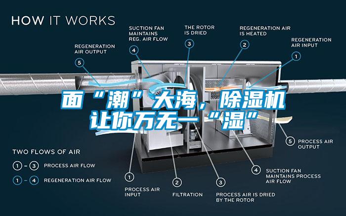 面“潮”大海，除濕機(jī)讓你萬(wàn)無(wú)一“濕”