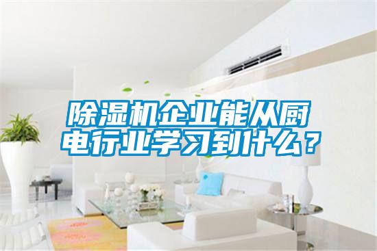 除濕機(jī)企業(yè)能從廚電行業(yè)學(xué)習(xí)到什么？