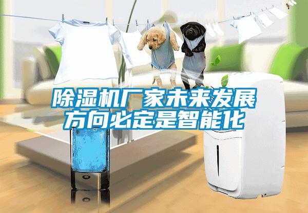 除濕機廠家未來發(fā)展方向必定是智能化