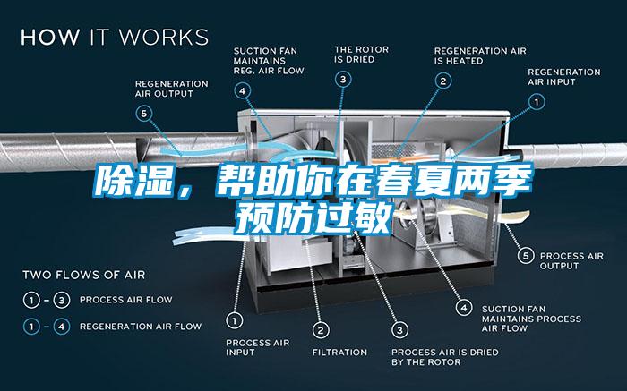 除濕，幫助你在春夏兩季預(yù)防過(guò)敏