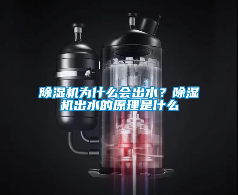 除濕機為什么會出水？除濕機出水的原理是什么