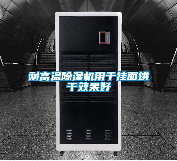 耐高溫除濕機用于掛面烘干效果好