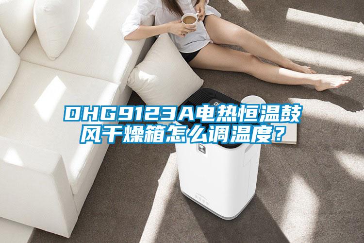 DHG9123A電熱恒溫鼓風干燥箱怎么調(diào)溫度？