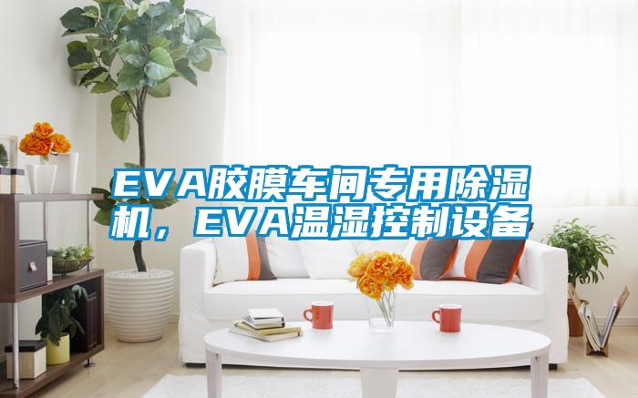 EVA膠膜車間專用除濕機(jī)，EVA溫濕控制設(shè)備