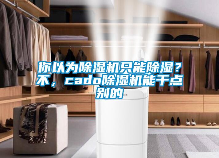 你以為除濕機只能除濕？不，cado除濕機能干點別的