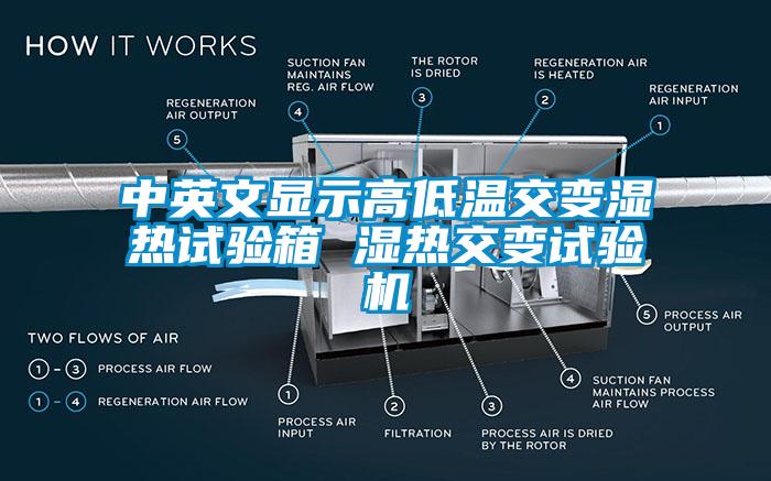 中英文顯示高低溫交變濕熱試驗箱 濕熱交變試驗機