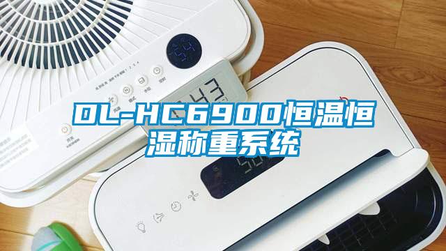 DL-HC6900恒溫恒濕稱重系統(tǒng)