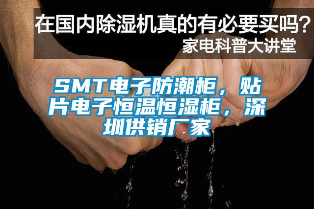 SMT電子防潮柜，貼片電子恒溫恒濕柜，深圳供銷廠家