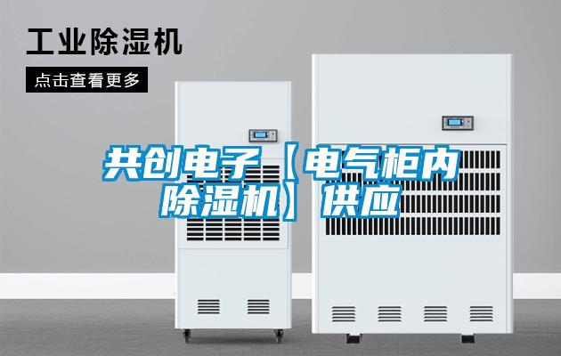 共創(chuàng)電子【電氣柜內(nèi)除濕機】供應