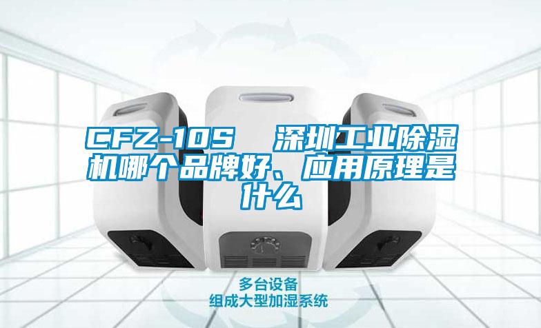 CFZ-10S  深圳工業(yè)除濕機(jī)哪個品牌好、應(yīng)用原理是什么