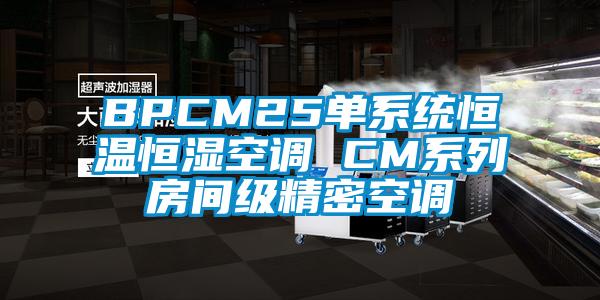 BPCM25單系統(tǒng)恒溫恒濕空調(diào) CM系列房間級(jí)精密空調(diào)