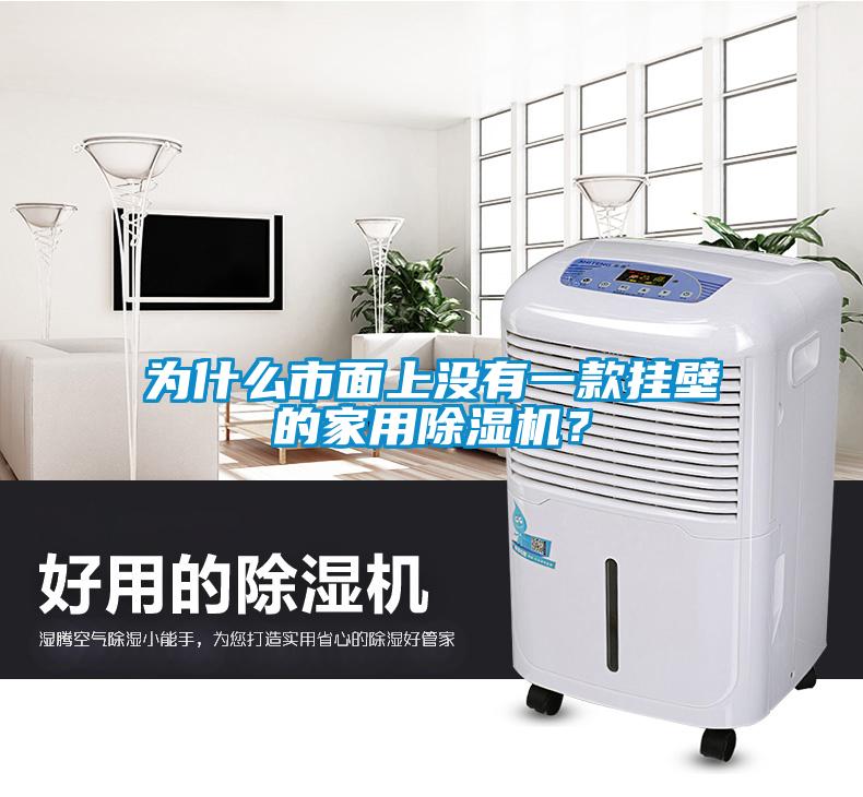 為什么市面上沒有一款掛壁的家用除濕機？