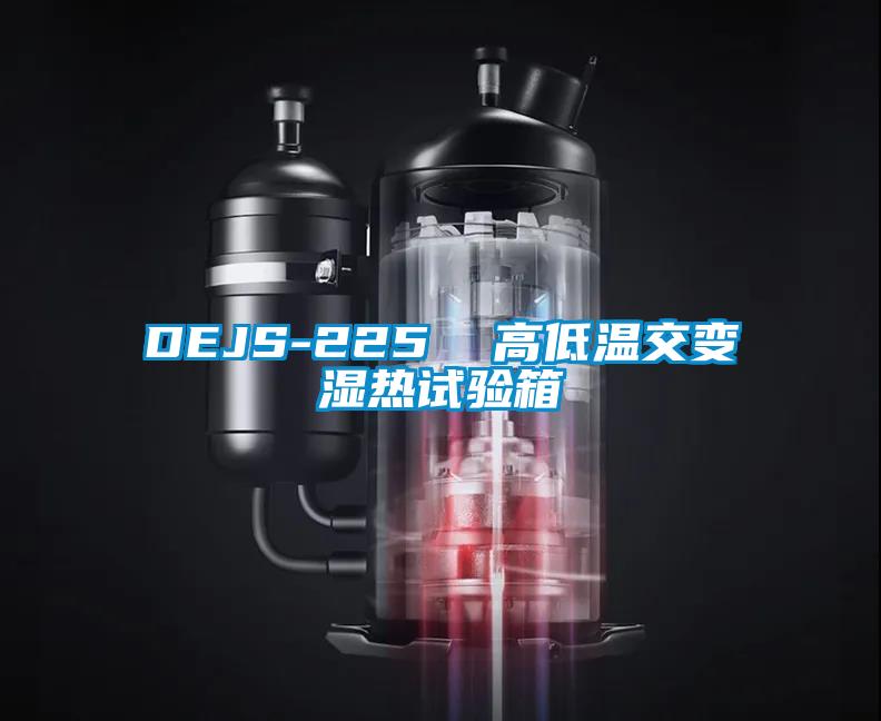 DEJS-225  高低溫交變濕熱試驗箱