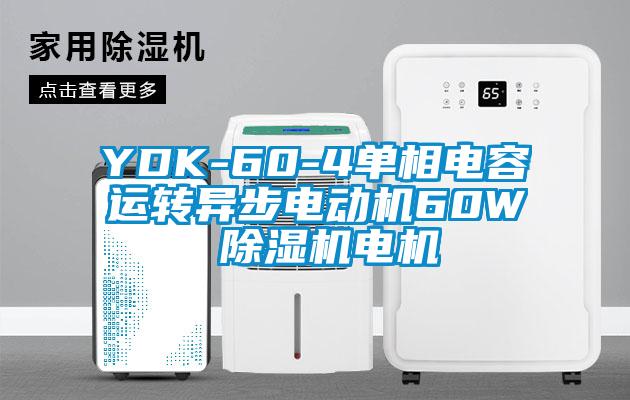 YDK-60-4單相電容運轉異步電動機60W 除濕機電機