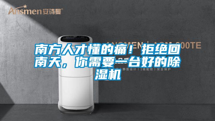 南方人才懂的痛！拒絕回南天，你需要一臺(tái)好的除濕機(jī)