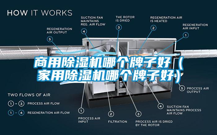 商用除濕機(jī)哪個牌子好（家用除濕機(jī)哪個牌子好）