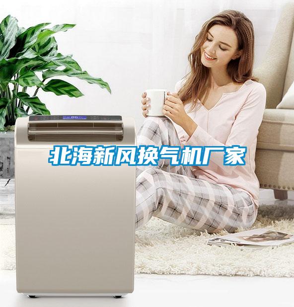 北海新風(fēng)換氣機廠家