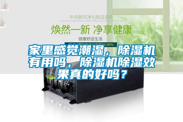 家里感覺潮濕，除濕機有用嗎，除濕機除濕效果真的好嗎？