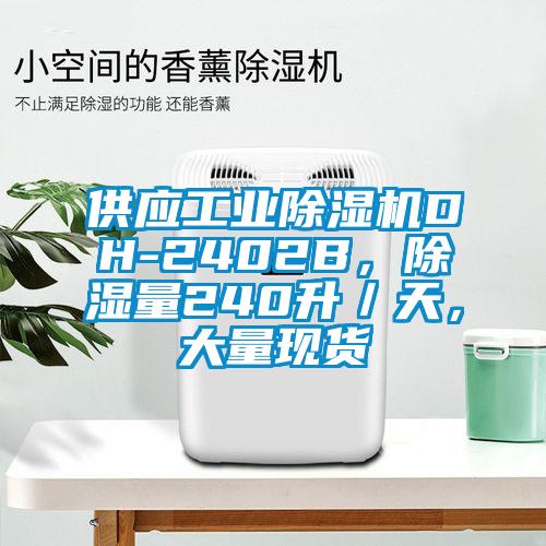 供應(yīng)工業(yè)除濕機(jī)DH-2402B，除濕量240升／天，大量現(xiàn)貨