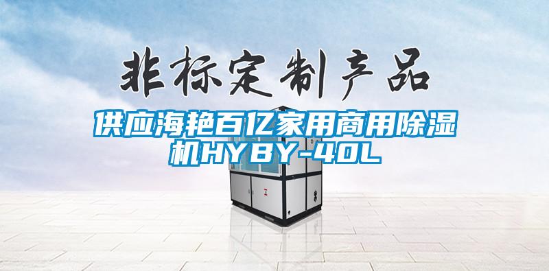 供應(yīng)海艷百億家用商用除濕機(jī)HYBY-40L