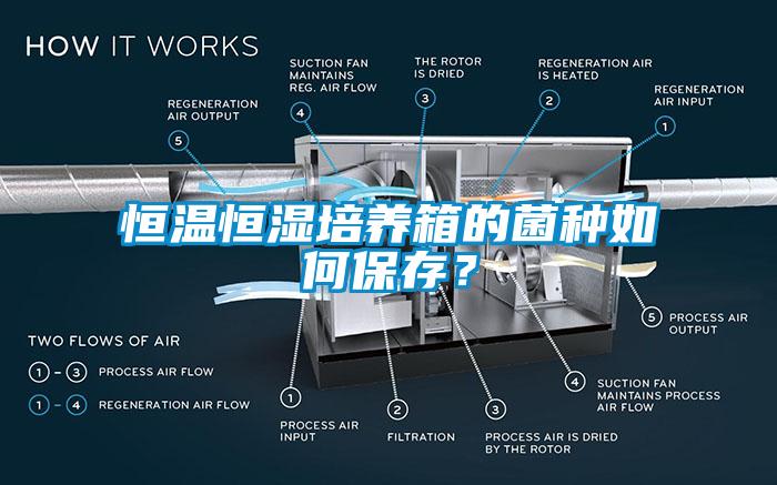 恒溫恒濕培養(yǎng)箱的菌種如何保存？