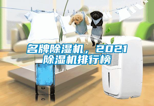 名牌除濕機(jī)，2021除濕機(jī)排行榜