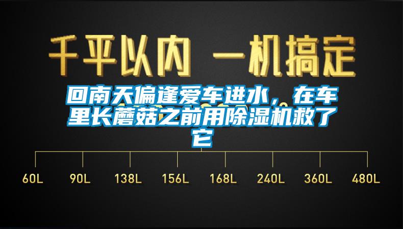 回南天偏逢愛車進(jìn)水，在車?yán)镩L蘑菇之前用除濕機(jī)救了它