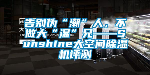 告別偽“潮”人，不做大“濕”兄——Sunshine大空間除濕機(jī)評測