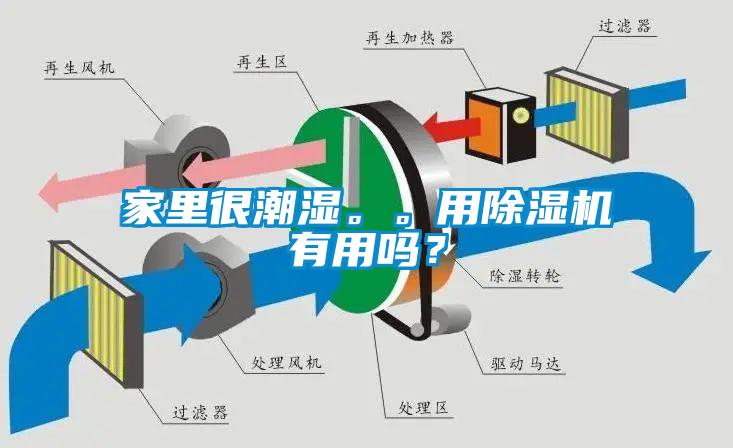 家里很潮濕。。用除濕機(jī)有用嗎？