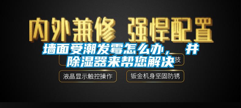 墻面受潮發(fā)霉怎么辦，東井除濕器來(lái)幫您解決