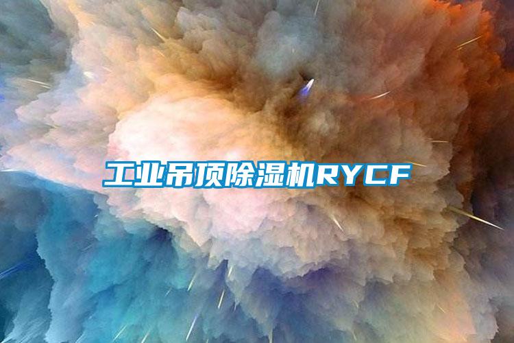 工業(yè)吊頂除濕機(jī)RYCF