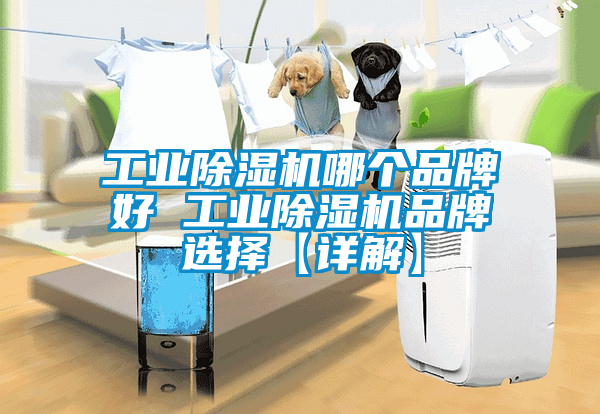 工業(yè)除濕機(jī)哪個(gè)品牌好 工業(yè)除濕機(jī)品牌選擇【詳解】