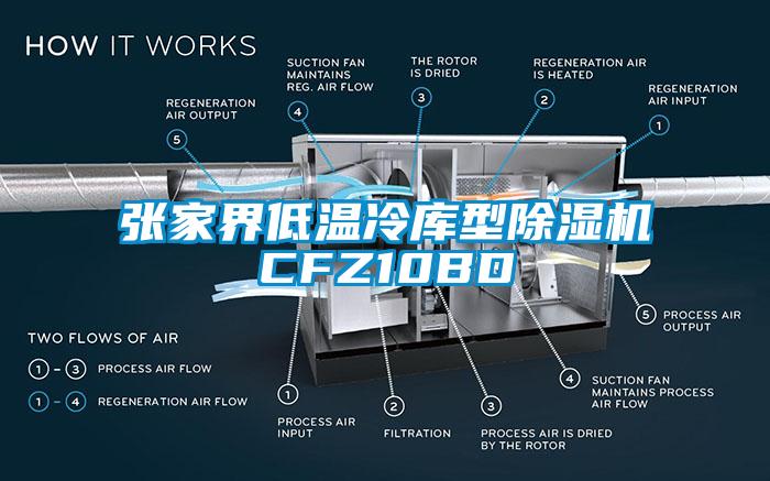 張家界低溫冷庫型除濕機CFZ10BD