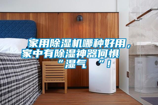 家用除濕機哪種好用，家中有除濕神器何懼 “濕氣 “！